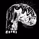 Skull Casso - World Skull Art