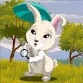 Rabbits Charm