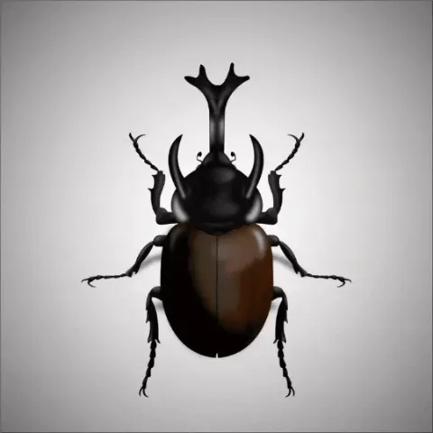 Big Beetles