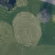 XENOGRAPH