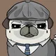 Dito the Pug
