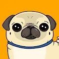 Dito the Pug