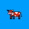 Cryptic Cows