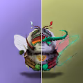 Rude bee boi