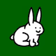 Bunny toto