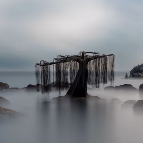 korea long exposure color photo