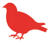 MrPaloma Birds