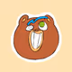 Timbears