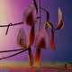 Flume x Jonathan Zawada
