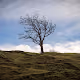 UK Landscapes -