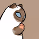 Kitty Paw