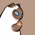 Kitty Paw