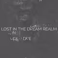 Lost in the dream realm