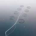 Salmon farms