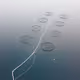 Salmon farms