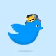 birdsbirdsbirds
