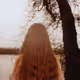 Todd Hido Roaming