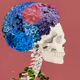 SkullHeadSalon