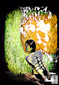 Pretty Pixels Nude Art - old
