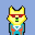 Doge Crypto
