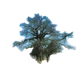 Cysix Sage