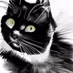 Black/White Cats - old