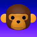 Apes and Monkeys