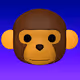 Apes and Monkeys