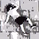 Reckless Universe of Gee
