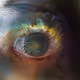 OculusGaze