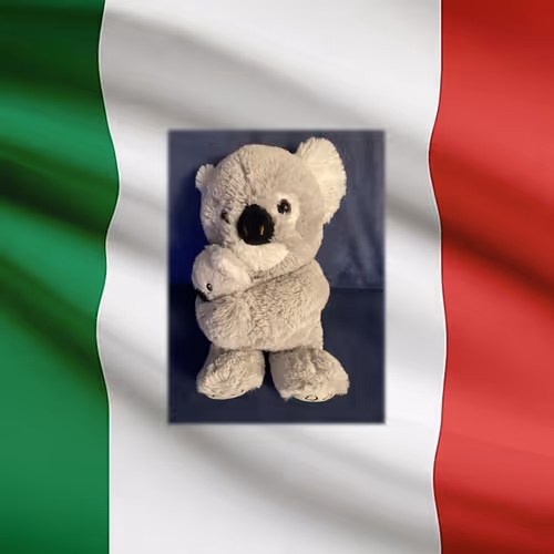 The Italian Koala