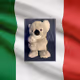 The Italian Koala