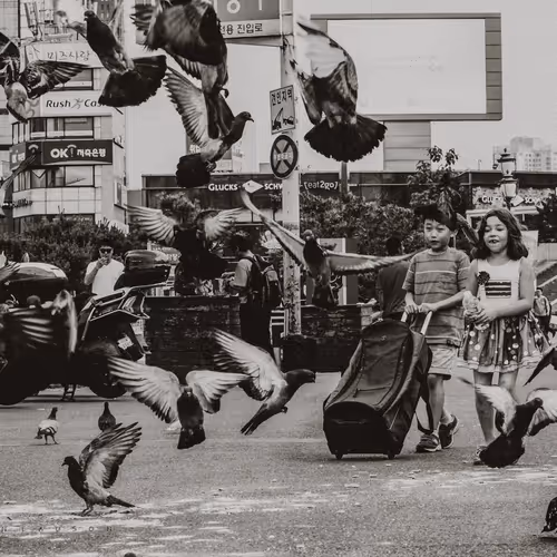 Travel while You're young and Able.