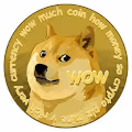 dogecoin best NFT