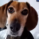 Videos for friends and family