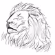 Herd Of Lions - old