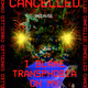 CANCEL YOURSELF by Danielle Brathwaite-Shirley
