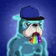 Billionaire Dogs Club BDC