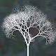 Ash Forest