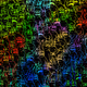Crowded Pepes (1 of 1 Collection)