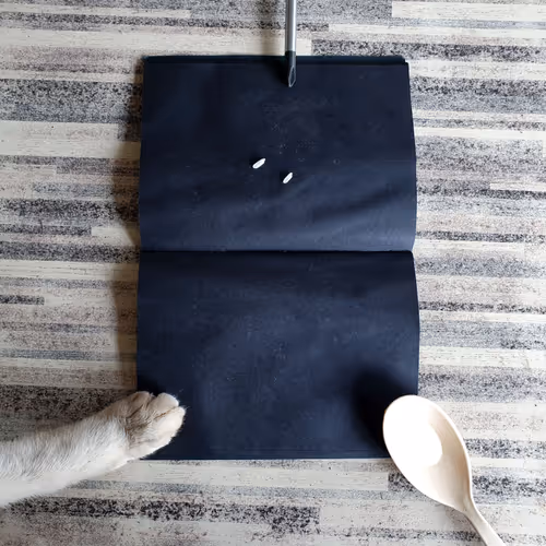 The Rice Count Journey