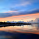 Florida Coast Collectibles