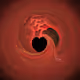 Out of Love for All