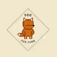 500 Fox (FUNK)