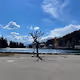 Swiss Paradise