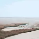 Oasis of our time