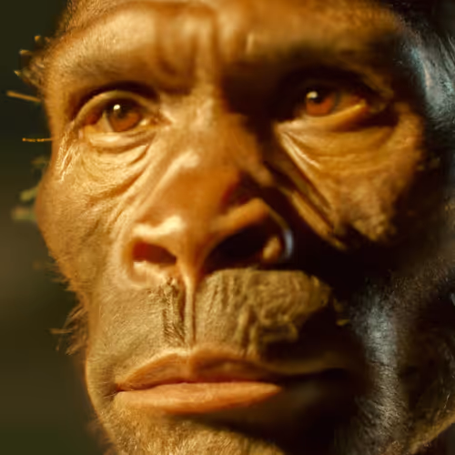 THE STORY OF EMOTION