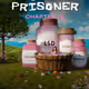 Modern Prisoner Chapter lV