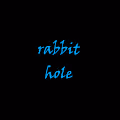 Rabbit Hole Crypto