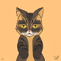 Namee Boring Cat